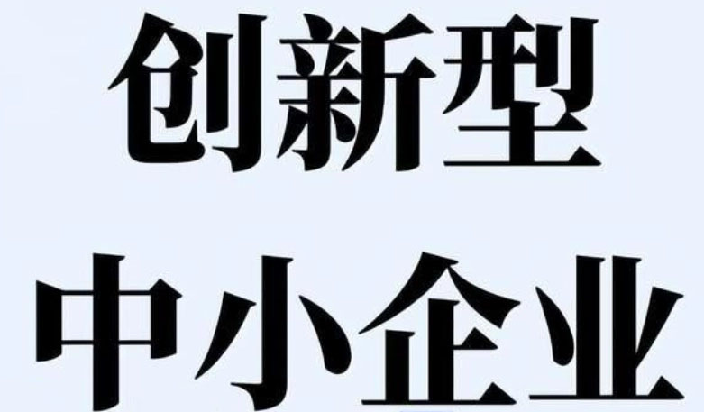 创新型中小企业(咨询服务)